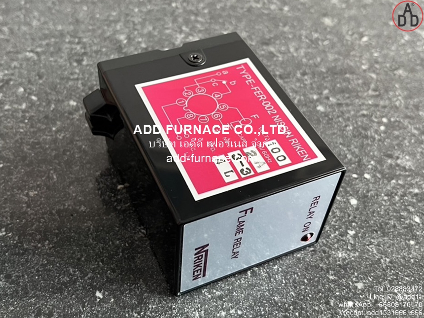 Flame Relay TYPE-FER-002 AC100V (4)